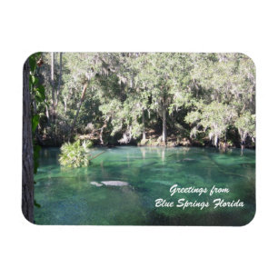 Mother Manatee with calf Blue Springs Personalise Magnet