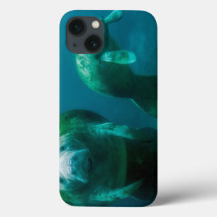 Mother manatee with her calf in Crystal River iPhone 13 Case