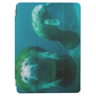 Mother manatee with her calf in Crystal River iPad Air Cover