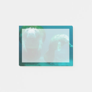 Mother manatee with her calf in Crystal River Post-it Notes
