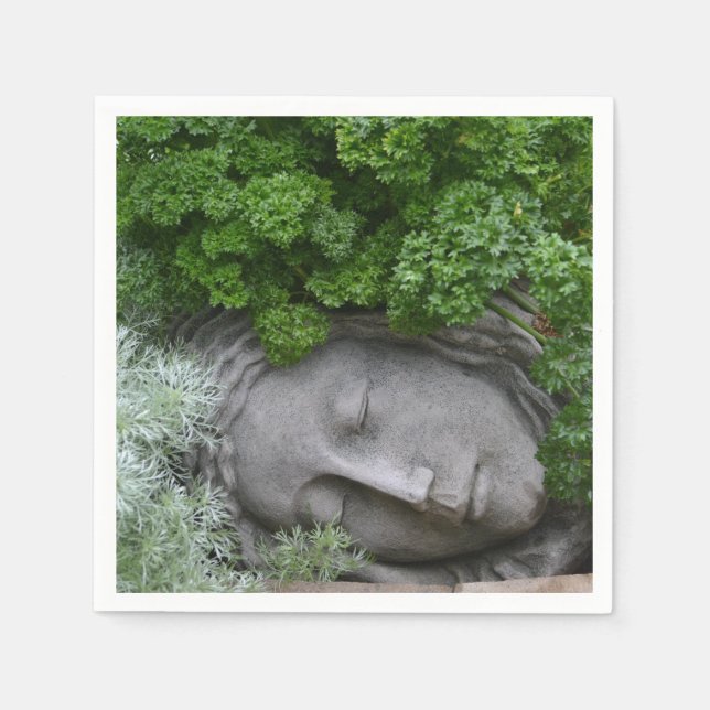 Mother Nature Napkin (Front)