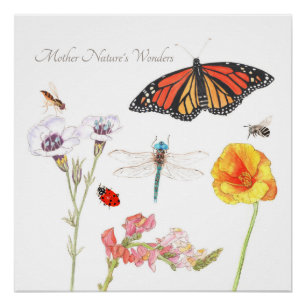 Mother Nature's Wonders Poster