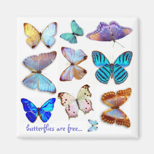 Mother of Pearl Butterflies Magnet by S Ambrose
