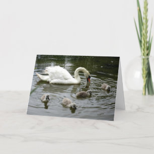 Mother’s Day Swan Lake - Card