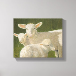 Mother Sheep Canvas Print
