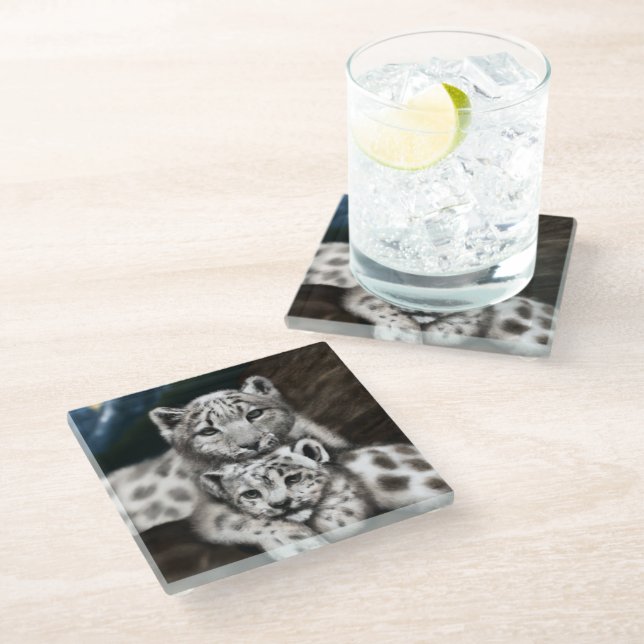 Mother Snow Leopard and Cub in the Mountains Glass Coaster (Angled)