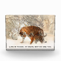Mother Tiger and Cub Inspiring Quote