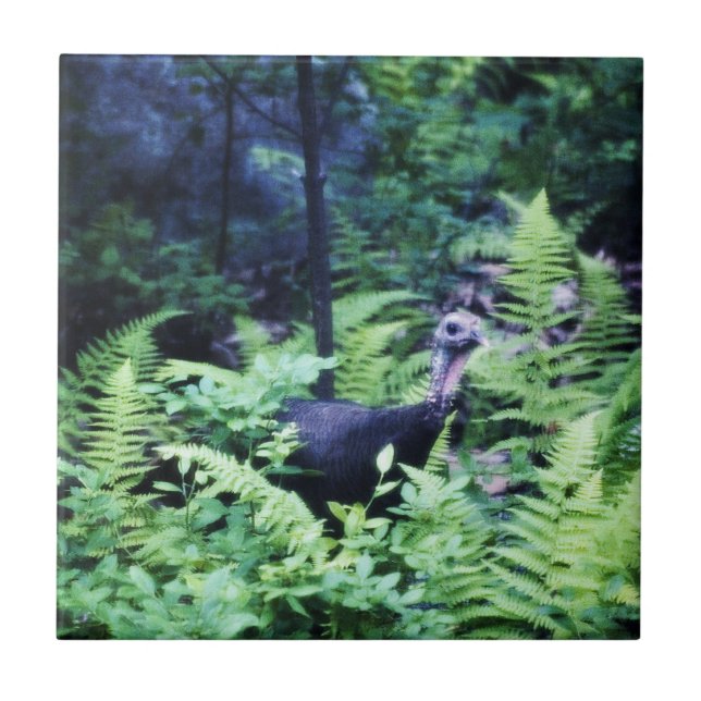 Mother Turkey in Ferns Tile (Front)