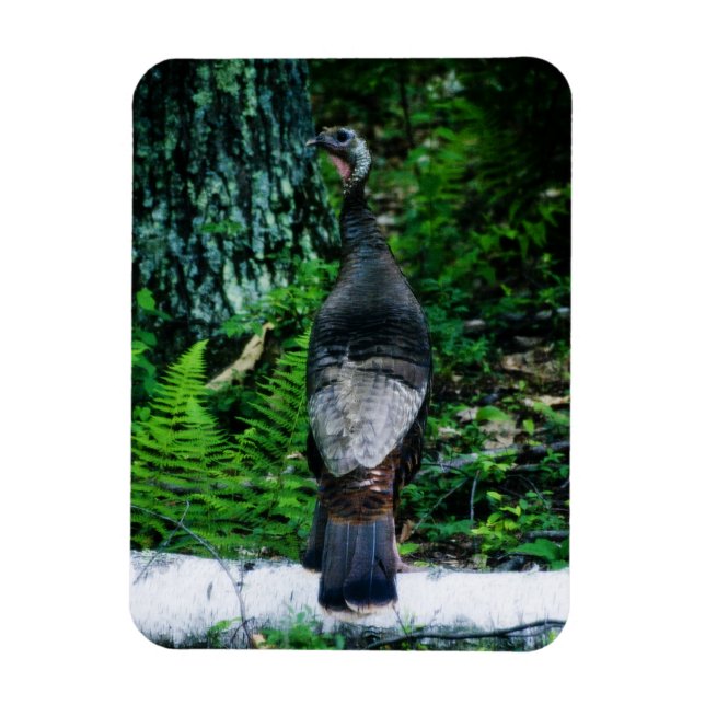 Mother Turkey Vinyl Magnet (Vertical)