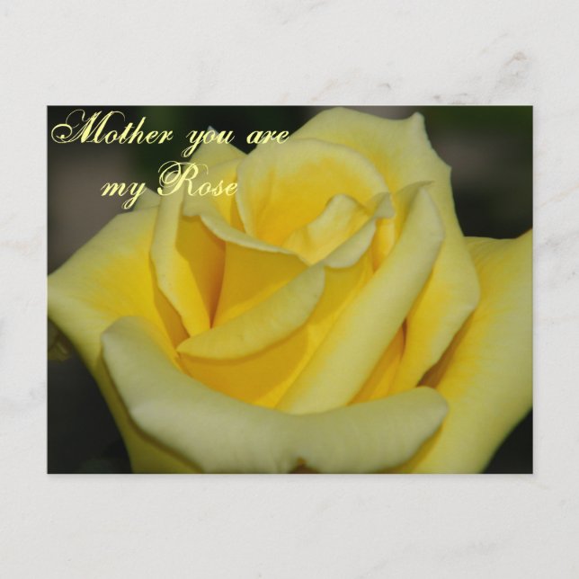 Mother You are my Rose/Any Occasion_ Postcard (Front)