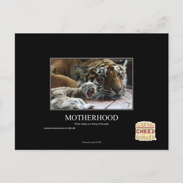 Motherhood Postcard (Front)