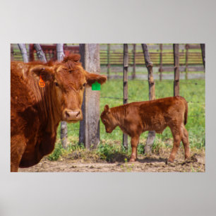 Motherhood Poster