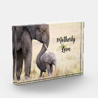Motherly love elephant baby personalised