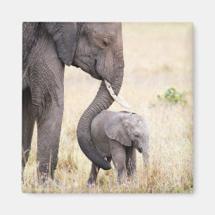 Motherly love magnet