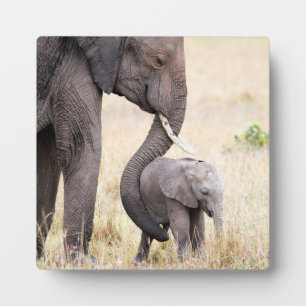 Motherly love plaque