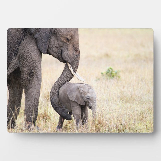 Motherly love plaque (Front)