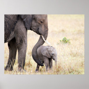 Motherly love poster