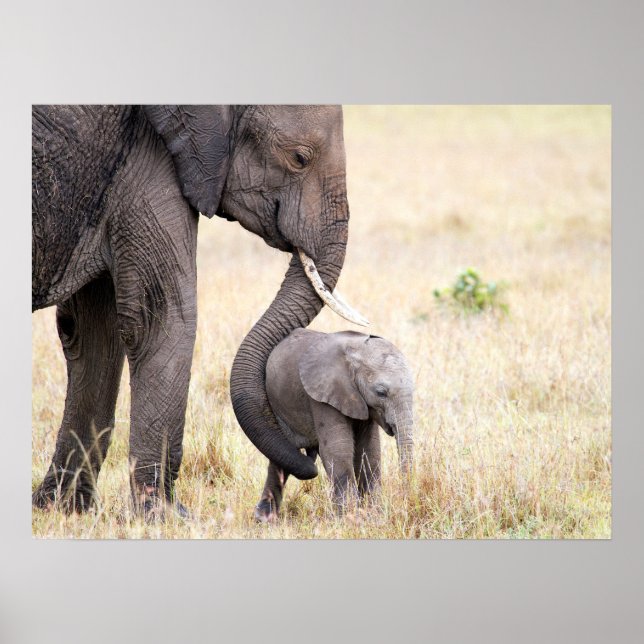 Motherly love poster (Front)