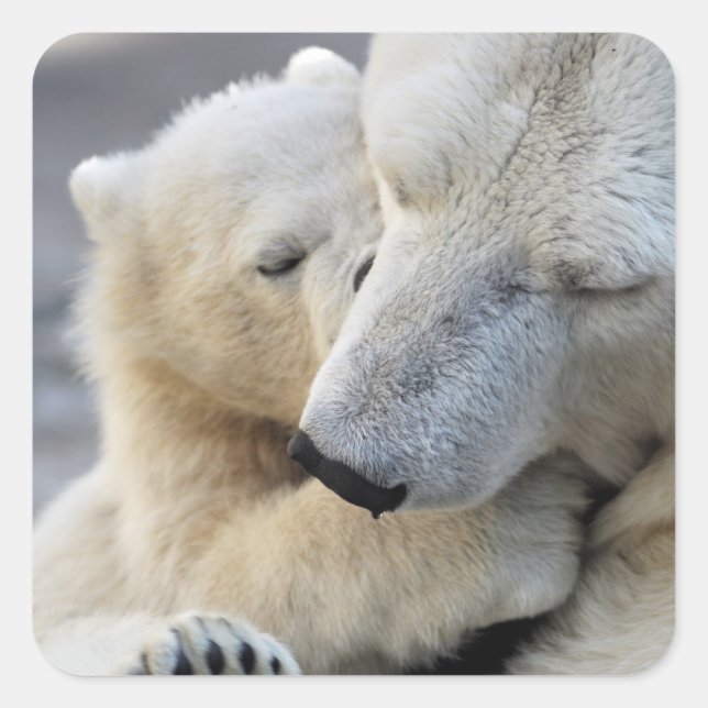 Motherly Love Square Sticker (Front)