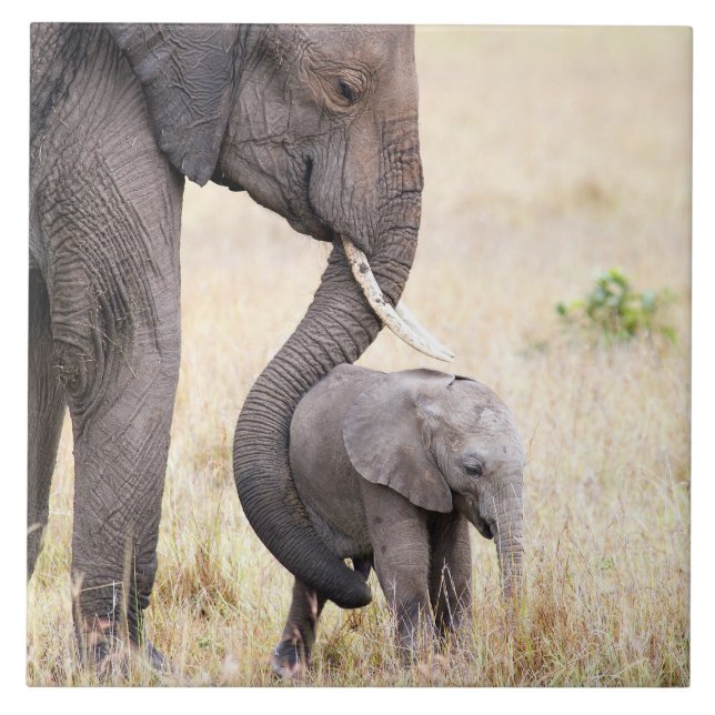 Motherly love tile (Front)