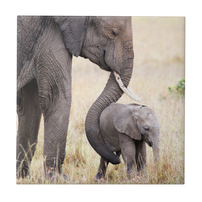 Motherly love tile (Front)