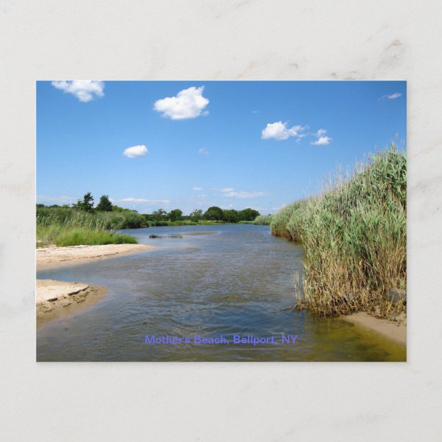 Mother's Beach, Bellport NY Postcard (Front)
