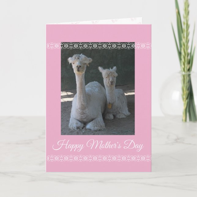 Mother's Day Alpaca Card (Front)