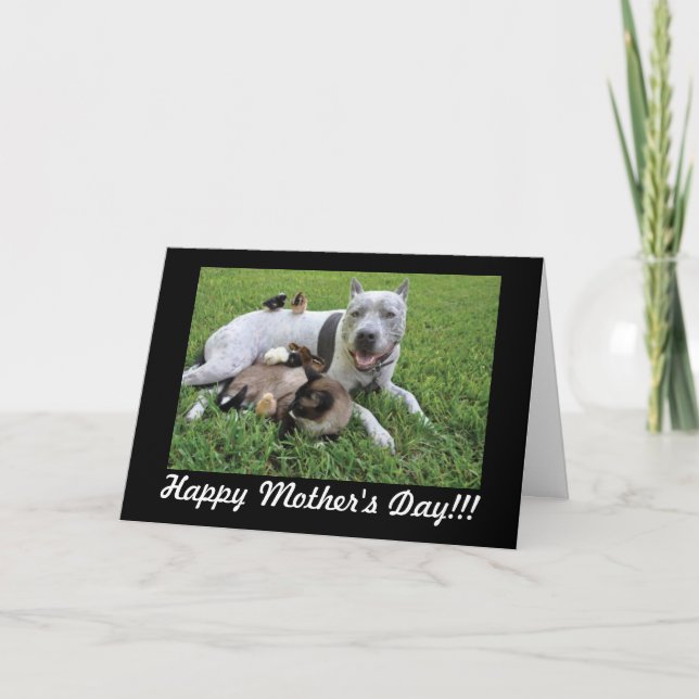 Mother's Day Animal Lover Fur Baby Mum Card (Front)