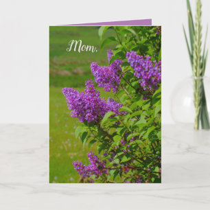 Mother's Day, beautiful flowers, lilacs, pretty Card