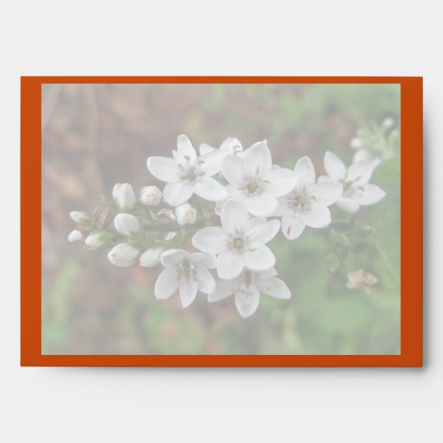 Mother's Day Bee Fly & White Flowers Envelope (Front)