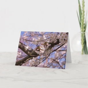Mother's Day Blossoms Card
