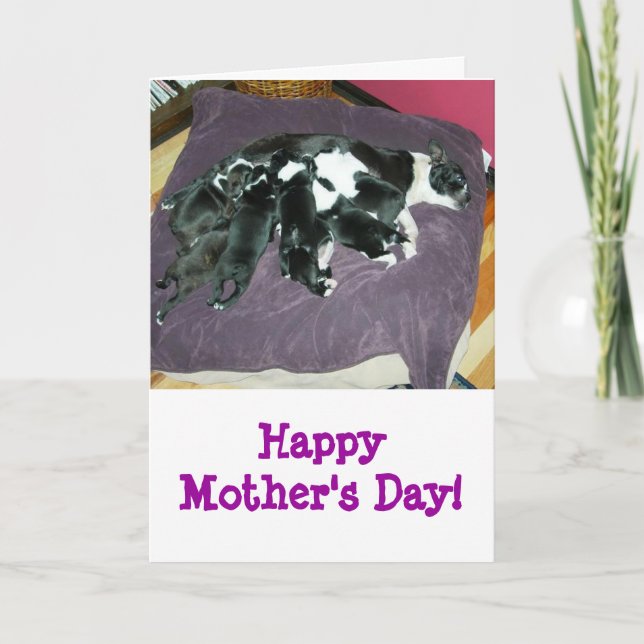 Mother's Day-Boston Terrier card (Front)