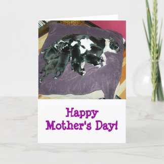 Mother's Day-Boston Terrier card