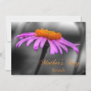 Mothers Day Brunch Purple and Orange Coneflower Card