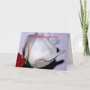 Mothers Day Card