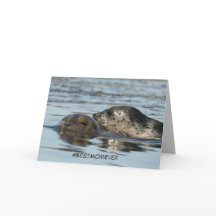 Mother's Day card featuring Harbour seals