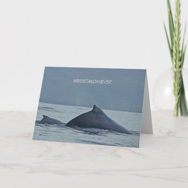 Mother's Day card featuring Humpback whales (Front)