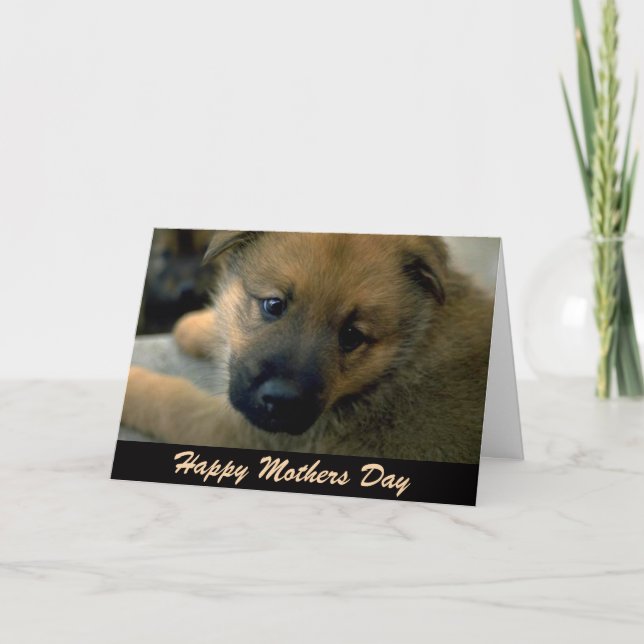 Mothers Day Card from Dog (Front)