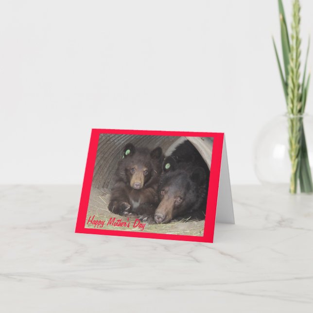 Mother's Day card - mum & cub (Front)