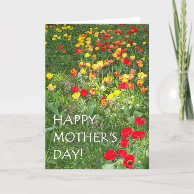 Mother's Day Card - 'Tulips' (Front)