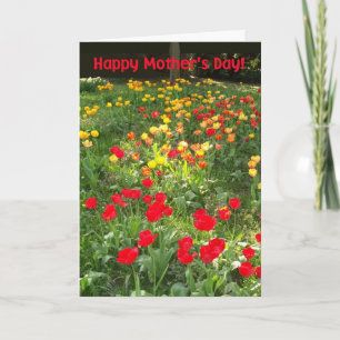 Mother's Day Card - 'Tulips'