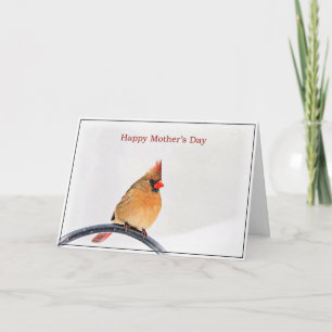 Mother's Day Card with a Cardinal