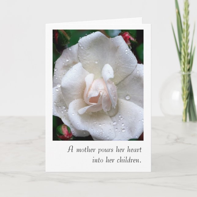 Mother's Day Card with White Rose (Front)