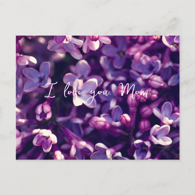 Mother's Day Cards, Gift, Photo lilac flower, Holiday Postcard (Front)