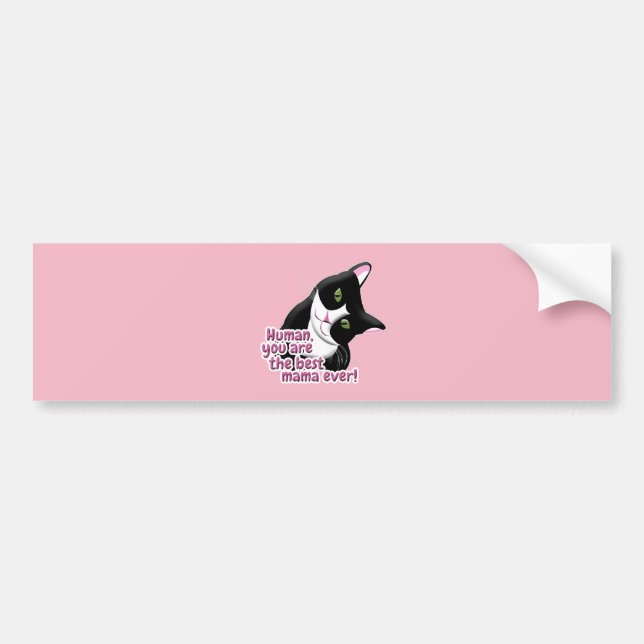 Mother's Day Cat Bumper Sticker (Front)