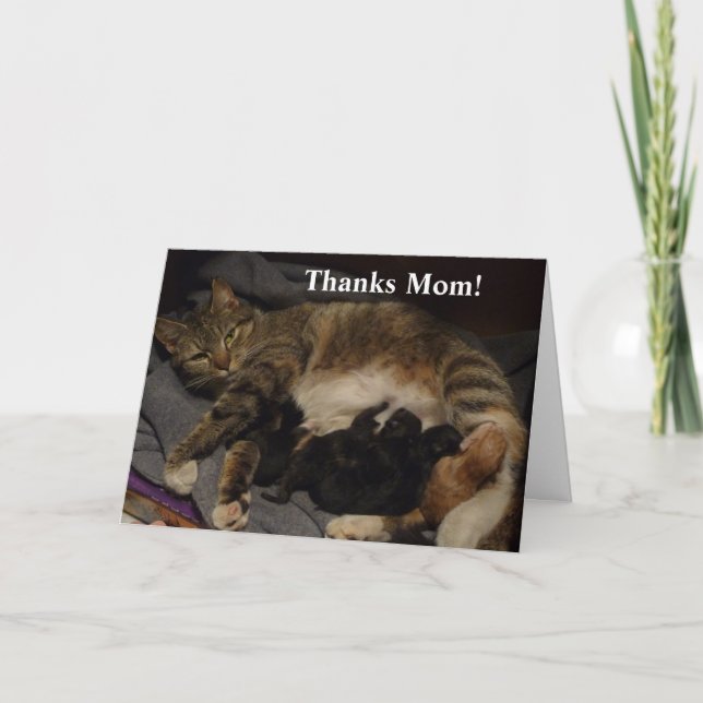 Mothers Day Cat Litter Card (Front)