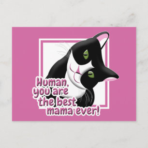 Mother's Day Cat Postcard