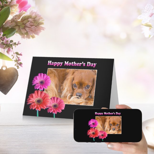 Mother's Day Cavalier King Charles Daisies Card (Creator Uploaded)