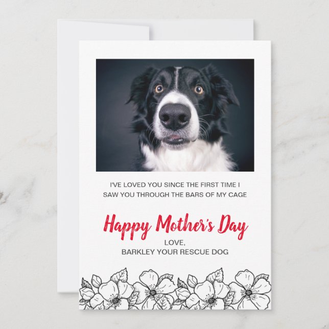 Mother's Day Custom Dog Photo From Dog Pet Holiday Card (Front)