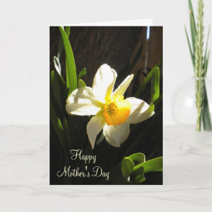Mothers Day Daffodil Card